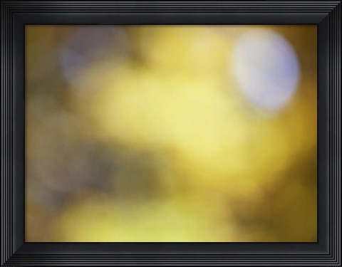 Framed Soft Landscape IV Print