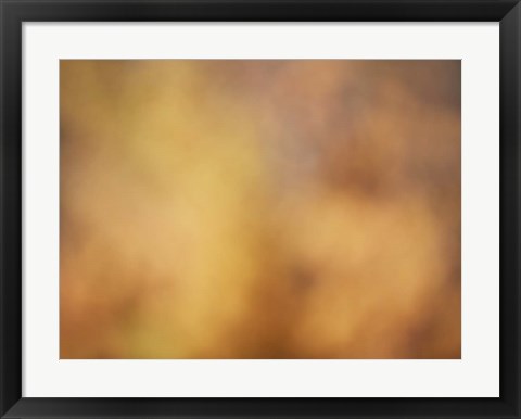 Framed Soft Landscape V Print