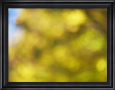 Framed Soft Landscape VI Print
