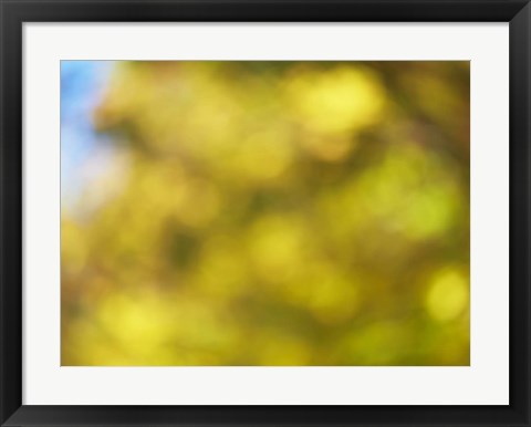 Framed Soft Landscape VI Print