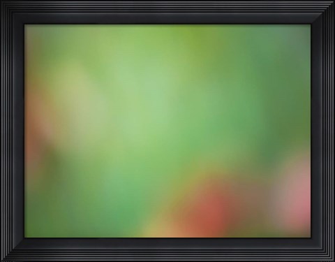 Framed Soft Landscape VIII Print