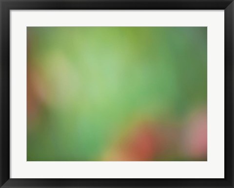 Framed Soft Landscape VIII Print