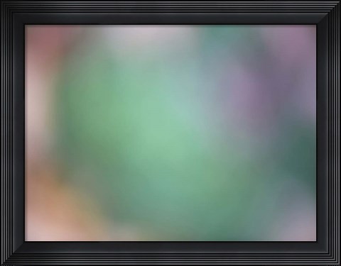 Framed Soft Landscape IX Print
