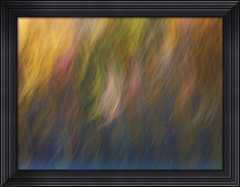 Framed Soft Landscape X Print
