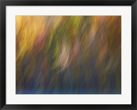 Framed Soft Landscape X Print