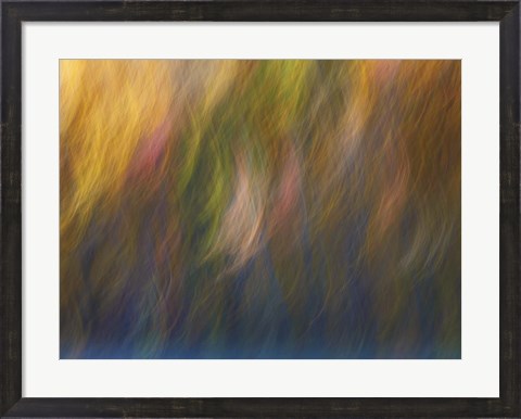 Framed Soft Landscape X Print