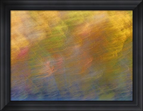 Framed Soft Landscape XI Print