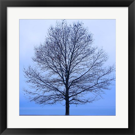 Framed November Tree Print