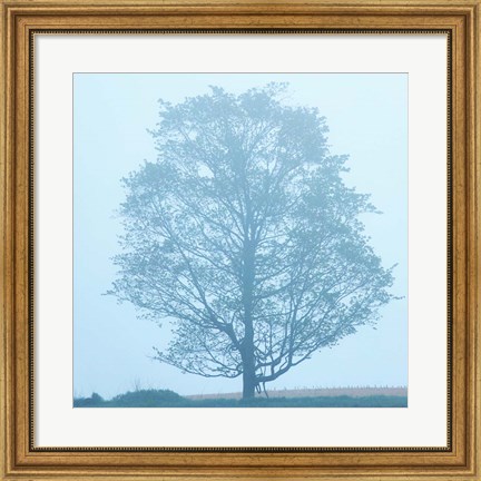 Framed Spring Tree Print