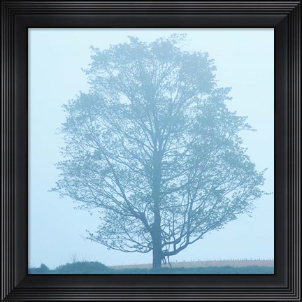 Framed Spring Tree Print