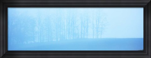 Framed Tree Panorama II Print