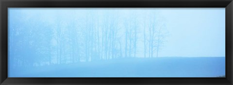 Framed Tree Panorama II Print