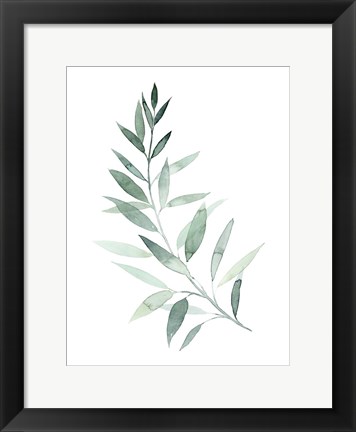 Framed Sea Glass Sprig I Print
