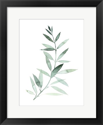 Framed Sea Glass Sprig II Print