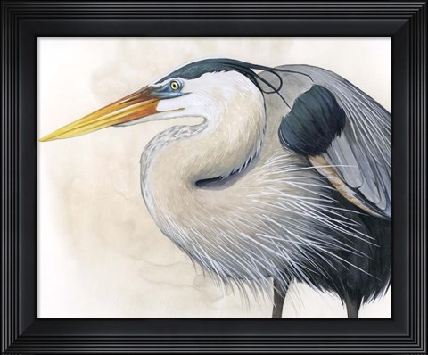 Framed Blue Hunter I Print