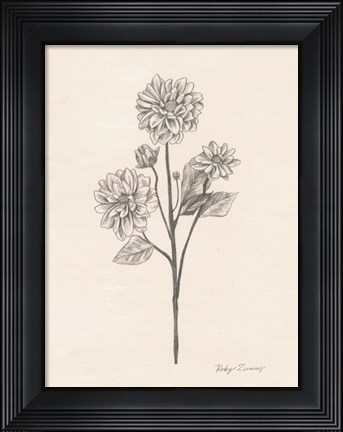 Framed Garden Zinnias II Print