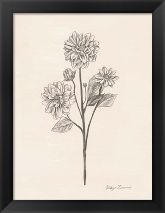 Framed Garden Zinnias II Print