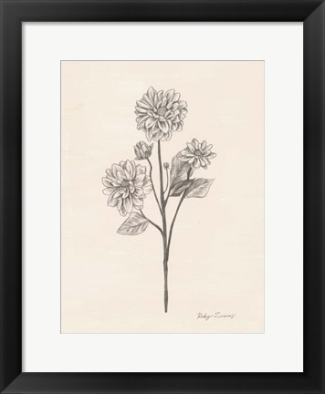 Framed Garden Zinnias II Print