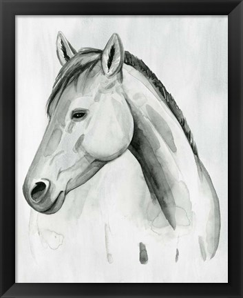 Framed Silver Gelding II Print