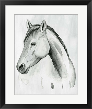 Framed Silver Gelding II Print