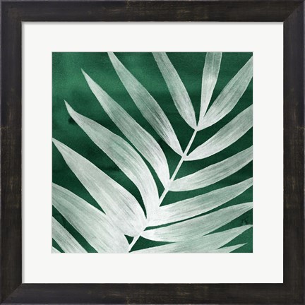 Framed Velvet Palm II Print