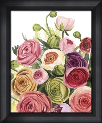 Framed Ranunculus Study I Print