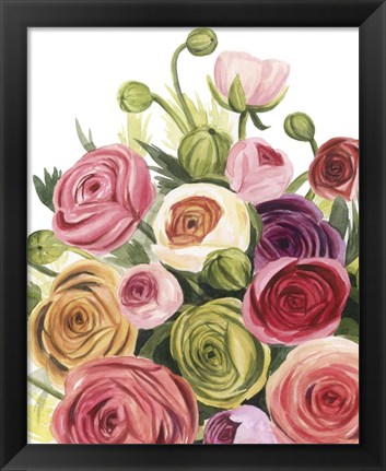 Framed Ranunculus Study I Print