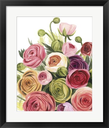 Framed Ranunculus Study I Print