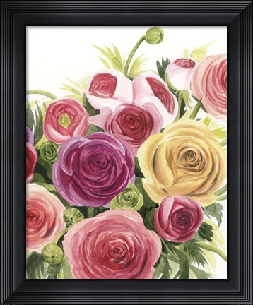 Framed Ranunculus Study II Print