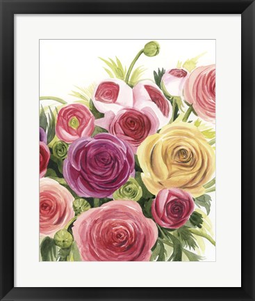 Framed Ranunculus Study II Print