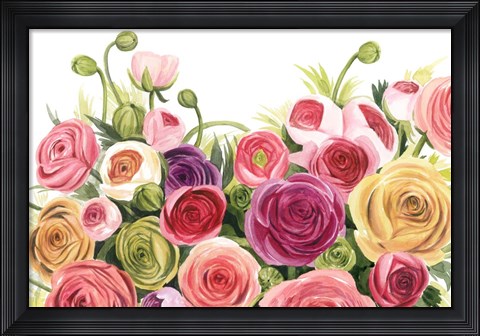 Framed Ranunculus Panorama Print