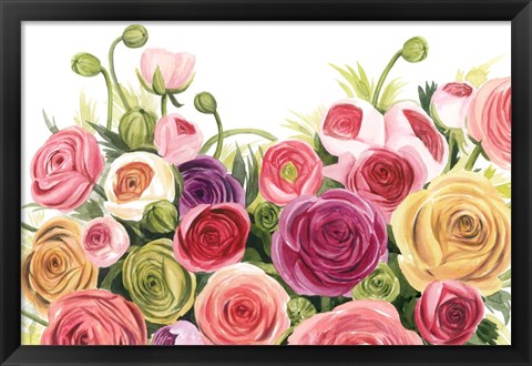 Framed Ranunculus Panorama Print