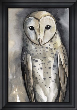Framed Moon Glider I Print