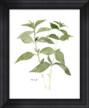 Framed Herb Garden Sketches I Print