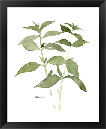 Framed Herb Garden Sketches I Print
