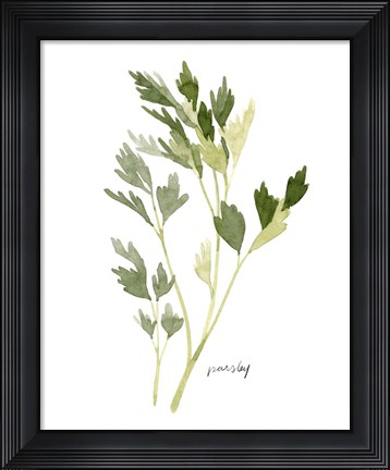 Framed Herb Garden Sketches II Print