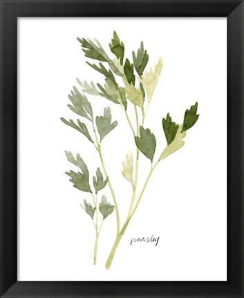 Framed Herb Garden Sketches II Print