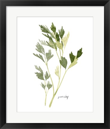 Framed Herb Garden Sketches II Print