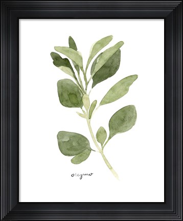 Framed Herb Garden Sketches III Print