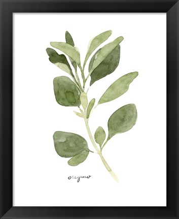 Framed Herb Garden Sketches III Print