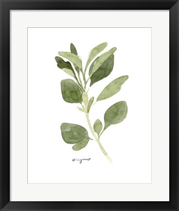 Framed Herb Garden Sketches III Print