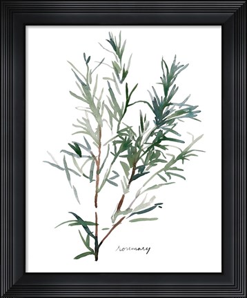 Framed Herb Garden Sketches IV Print