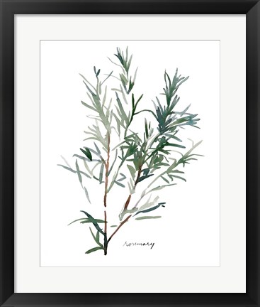 Framed Herb Garden Sketches IV Print