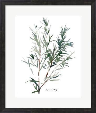 Framed Herb Garden Sketches IV Print
