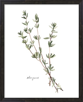 Framed Herb Garden Sketches VI Print