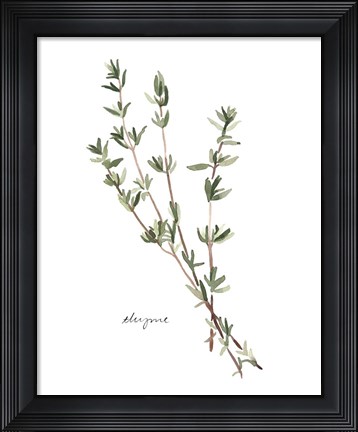 Framed Herb Garden Sketches VI Print