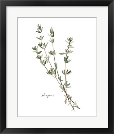 Framed Herb Garden Sketches VI Print