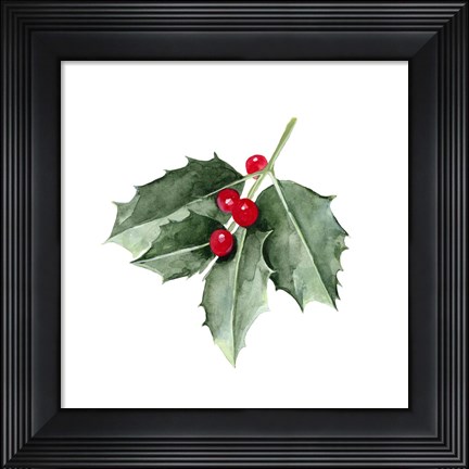 Framed Christmas Holly II Print