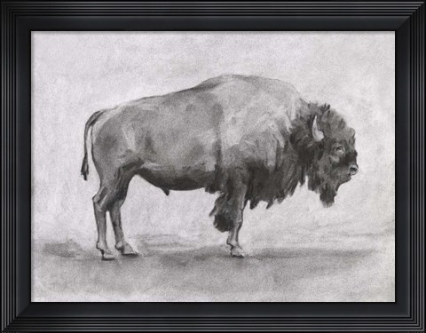 Framed Wild Bison Study I Print