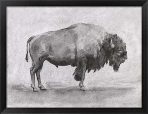 Framed Wild Bison Study I Print